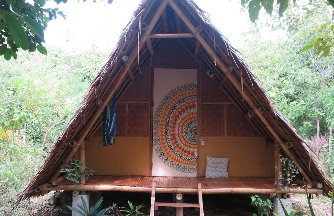 Lazy Lizard Hostel-1
