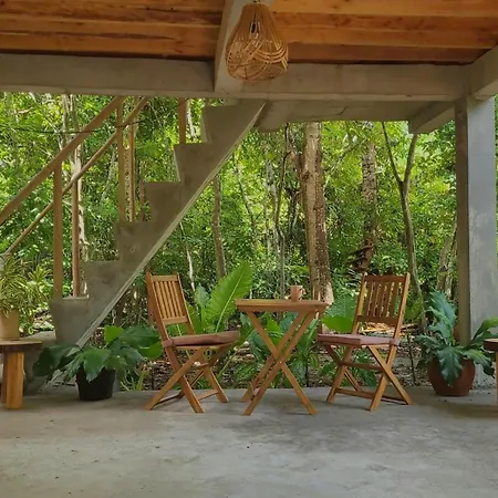 Lazy Lizard Hostel-2